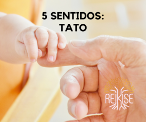 Leia mais sobre o artigo 5 sentidos: Tato, como sinto a vida?